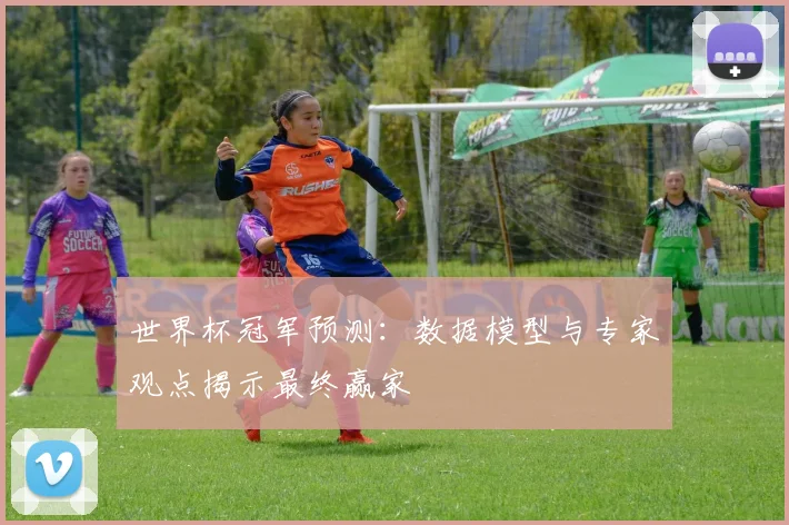 世界杯冠军预测：数据模型与专家观点揭示最终赢家