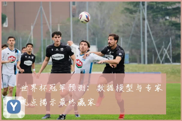 世界杯冠军预测:数据模型与专家观点揭示最终赢家